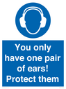 mandatory-you-only-have-one-pair-of-ears-protect-them~